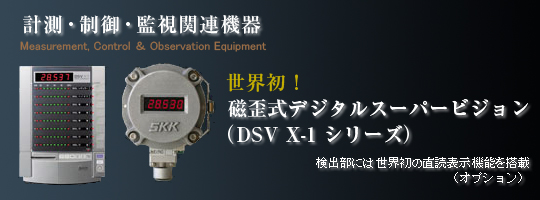ļǥ륹ѡӥ(DSV X-1 ꡼)