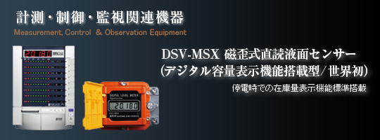 ļǥ륹ѡӥ(DSV X-2 ꡼)